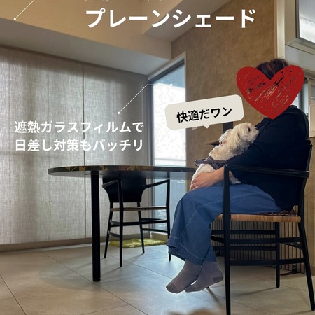 450x450 590543153 18516944656067687 8997904826946581002 n